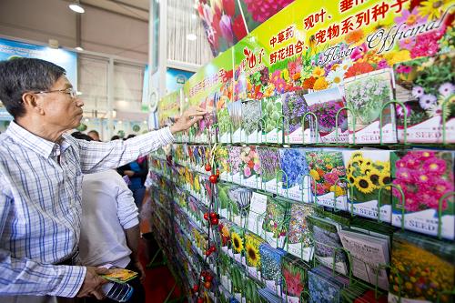 9月25日,消費(fèi)者在第21屆北京種子大會(huì)上選購(gòu)各類鮮花種子。新華社發(fā)(趙冰 攝)