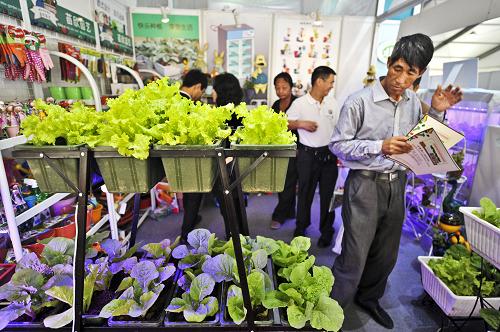 9月25日,消費(fèi)者在第21屆北京種子大會(huì)上了解盆栽蔬菜。新華社發(fā)(王京生 攝)