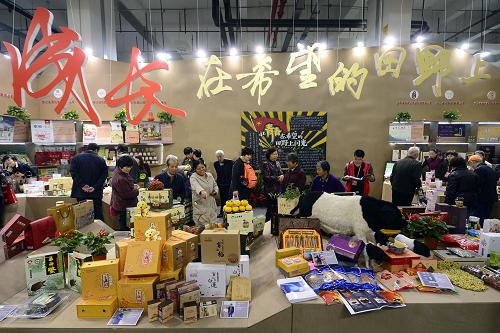 11月22日,參觀者在2013浙江農(nóng)業(yè)博覽會(huì)上觀看浙江省大學(xué)生農(nóng)業(yè)創(chuàng)業(yè)成果。新華社發(fā)(李忠 攝)
