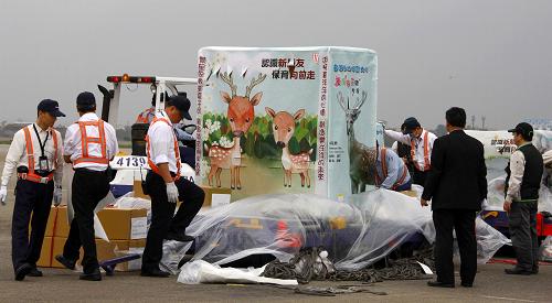 4月16日,在臺(tái)灣桃園機(jī)場(chǎng),工作人員準(zhǔn)備將裝載臺(tái)灣贈(zèng)送大陸動(dòng)物的籠舍送上飛機(jī)。新華社記者 龔兵 攝