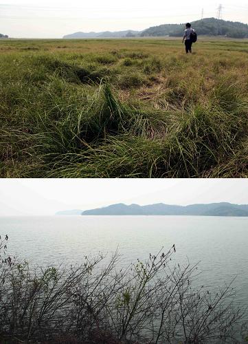 上圖:5月28日,一名攝影師走在鄱陽湖江西九江市虞家河鄉(xiāng)坪頭壩湖區(qū)長滿綠草的裸露湖床上; 下圖:2010年7月27日,汛期中的鄱陽湖江西九江市虞家河鄉(xiāng)坪頭壩湖區(qū)湖水充盈(拼版照片)。新華社發(fā)(張海巖 攝)