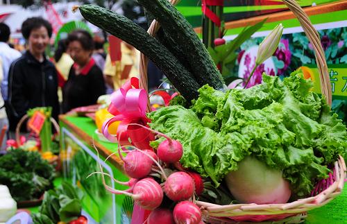 這是7月2日在甘肅“高原夏菜”產(chǎn)銷(xiāo)對(duì)接會(huì)上拍攝的展示的蔬菜。新華社記者 朱國(guó)亮 攝