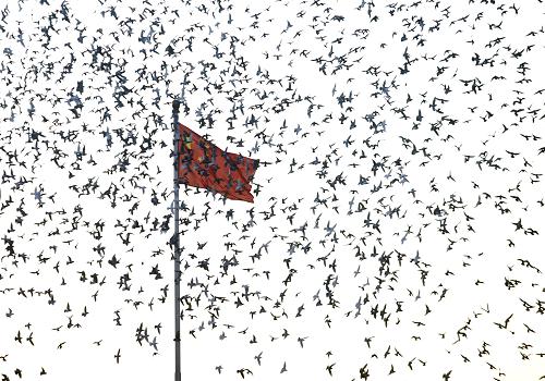 1月1日,群鴿飛向天空。新華社發(fā) (王申 攝)