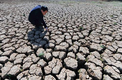 云南曲靖市師宗縣一座干涸的水庫(kù)(2月15日攝)。新華社記者 楊宗友 攝