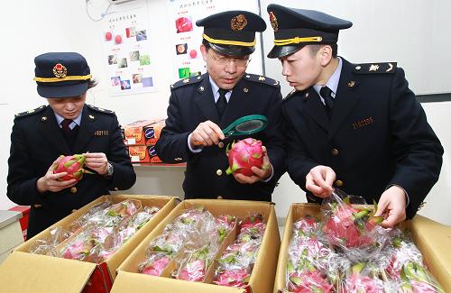 2月19日,上海出入境檢驗(yàn)檢疫局的工作人員在上海農(nóng)產(chǎn)品中心批發(fā)市場(chǎng)內(nèi)查驗(yàn)進(jìn)口水果。近日,記者在上海農(nóng)產(chǎn)品中心批發(fā)市場(chǎng)了解到,今年以來,進(jìn)入上海市場(chǎng)的進(jìn)口水果的總量大幅增加,在上海農(nóng)產(chǎn)品中心批發(fā)市場(chǎng),進(jìn)口水果的平均價(jià)格較去年同期下降近30%,櫻桃、獼猴桃等品種售價(jià)僅為去年同期的一半。新華社記者 裴鑫 攝