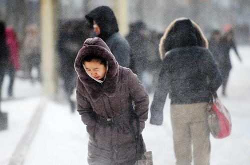 3月17日,哈爾濱市民在風(fēng)雪中前行。哈爾濱市15日夜以來持續(xù)降雪,氣溫明顯下降。新華社記者 王建威 攝