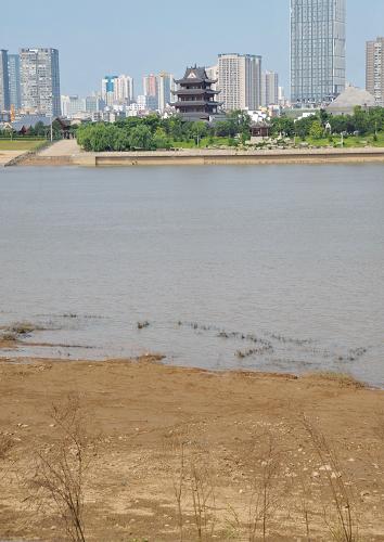 長(zhǎng)沙橘子洲拱極樓附近湘江沿岸因水位下跌露出河灘(6月22日攝)。近日,隨著雨停轉(zhuǎn)晴,長(zhǎng)沙湘江水位持續(xù)下降,汛情緩解。據(jù)長(zhǎng)沙水文站監(jiān)測(cè)數(shù)據(jù)顯示,截至22日上午8時(shí),長(zhǎng)沙湘江水位降至30.44米,較前日下降了0.23米,比6月13日35.01米的今年最大洪峰水位下跌了4.57米。新華社記者 龍弘濤 攝
