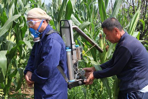 8月15日,河北省永清縣西關(guān)村農(nóng)民在田間調(diào)試藥液噴灑設(shè)備。入夏以來(lái),氣候極端異常,病蟲(chóng)害偏重發(fā)生,特別是粘蟲(chóng)在河北、內(nèi)蒙古、吉林、黑龍江、遼寧、天津等地暴發(fā)危害,累計(jì)發(fā)生面積近5000萬(wàn)畝。同時(shí),南方中晚稻和東北一季稻區(qū)稻飛虱、稻瘟病等病蟲(chóng)害發(fā)生程度也重于常年,已累計(jì)發(fā)生3億畝次。目前各地作物正處于產(chǎn)量形成的關(guān)鍵時(shí)期,也是病蟲(chóng)防控的重要時(shí)期。面對(duì)當(dāng)前部分地區(qū)農(nóng)作物病蟲(chóng)害加重發(fā)生的態(tài)勢(shì),農(nóng)業(yè)部部長(zhǎng)韓長(zhǎng)賦14日對(duì)病蟲(chóng)防控工作進(jìn)行再部署,要求各級(jí)農(nóng)業(yè)部門(mén)加強(qiáng)監(jiān)測(cè),加大防控力度,強(qiáng)化措施落實(shí),做到早預(yù)警、早準(zhǔn)備、早防控,堅(jiān)決打贏秋季病蟲(chóng)防控攻堅(jiān)戰(zhàn),全力奪取秋糧豐收。新華社發(fā)(張玉宇 攝)