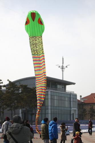2月13日,山東省煙臺市舉行“金蛇迎春”風(fēng)箏放飛表演活動 ,一名參加活動的市民放飛手中45米長的“金蛇”風(fēng)箏,歡度蛇年新春。新華社發(fā)(申吉忠 攝)