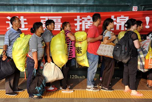 河南:2013年首趟摘棉專列赴疆 8月25日,進疆摘棉的農(nóng)民工在鄭州火車站準備上車。 當日,河南首趟進疆摘棉專列L29次從鄭州始發(fā)開往烏魯木齊,標志著2013年河南省棉農(nóng)運輸正式拉開帷幕。 據(jù)鄭州鐵路局介紹,8月25日到9月15日,鄭州鐵路局加開了20趟棉農(nóng)專列運送摘棉工進疆。為方便棉農(nóng)就近上車,節(jié)約棉農(nóng)旅途成本,這些列車將分別從棉農(nóng)較集中的商丘、許昌、寧陵等車站始發(fā)。 新疆是中國最大的優(yōu)質(zhì)棉生產(chǎn)基地,年產(chǎn)量占全國的1/3。到了收獲季節(jié),每年有近100萬人采棉工來到新疆,他們大多來自甘肅、河南、陜西等省份。 新華社記者 李博 攝