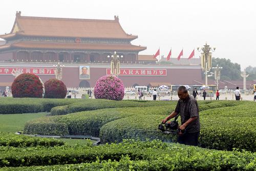 9月13日,園藝工人在天安門(mén)廣場(chǎng)修剪綠植。從9月11日起,北京天安門(mén)廣場(chǎng)和長(zhǎng)安街沿線(xiàn)的國(guó)慶花壇布置正式開(kāi)始,預(yù)計(jì)9月25日全部完成。據(jù)了解,北京今年的國(guó)慶花卉布置將整體“瘦身”,天安門(mén)廣場(chǎng)及長(zhǎng)安街兩側(cè)的擺花量均有所減少,市屬政府機(jī)關(guān)門(mén)口也不再擺放大型花壇。新華社發(fā)(王躍嶺 攝)