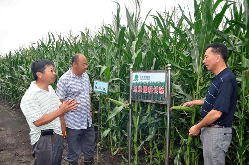 8月5日,黑龍江墾區(qū)五大連池農(nóng)場(chǎng)農(nóng)業(yè)科技工作者在查看玉米長(zhǎng)勢(shì)。2013年黑龍江墾區(qū)雖然遇到春澇、低溫、多雨等不利氣象條件,但在采用大型機(jī)械深松整地、飛機(jī)航化作業(yè)、及時(shí)中耕、噴施葉面肥等一系列措施后,玉米和大豆仍長(zhǎng)勢(shì)良好,將再次迎來豐收。新華社發(fā)(陸文祥攝)