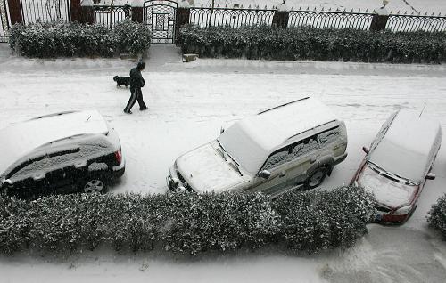 1月3日,一名行人在雪中遛狗。當日,受強冷空氣影響,內蒙古自治區(qū)部分地區(qū)迎來2010年首場降雪。新華社記者 李云平 攝