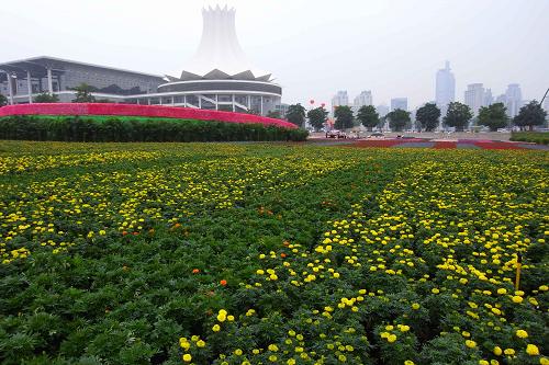 廣西南寧花團(tuán)錦簇迎盛會(huì) 10月14日拍攝的鮮花裝點(diǎn)的南寧國(guó)際會(huì)展中心廣場(chǎng)。 第五屆中國(guó)—東盟博覽會(huì)即將在廣西南寧市拉開(kāi)帷幕。園林工人近日在南寧國(guó)際會(huì)展中心、民族文化宮廣場(chǎng)等地?cái)[放各種鮮花造景,美化市容迎接盛會(huì)。 新華社發(fā)(牛書(shū)培 攝)