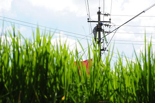 8月6日,鎮(zhèn)遠(yuǎn)供電局職工在鎮(zhèn)遠(yuǎn)縣羊場鎮(zhèn)凱言村為村民架設(shè)抽水泵線路。入夏以來,受降水持續(xù)偏少影響,貴州出現(xiàn)大面積干旱,農(nóng)村生活生產(chǎn)受到嚴(yán)重影響。為解決農(nóng)民抗旱用電難題,南方電網(wǎng)貴州公司動員職工5500余人次深入田間地頭抗旱保電,投入抗旱車輛420余臺次,維護變壓器960余臺,安裝抗旱變壓器35臺,臨時抗旱低壓線路37.5公里,確??购稻葹?zāi)工作順利進行。新華社記者 劉續(xù) 攝