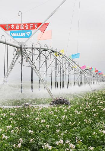 在寧夏固原市原州區(qū)馬鈴薯種薯繁育基地,大型自動(dòng)化噴灌設(shè)備在對(duì)農(nóng)田進(jìn)行灌溉(7月24日攝)。寧夏固原市充分利用氣候冷涼的資源優(yōu)勢(shì),以設(shè)施蔬菜園區(qū)和標(biāo)準(zhǔn)化示范基地建設(shè)為抓手,大力發(fā)展冷涼蔬菜產(chǎn)業(yè)。在發(fā)展現(xiàn)代農(nóng)業(yè)的同時(shí),為解決寧夏南部山區(qū)水資源短缺問(wèn)題,固原市充分利用地表水、合理開(kāi)發(fā)地下水、科學(xué)調(diào)度揚(yáng)黃水,大力發(fā)展噴灌、滴灌等現(xiàn)代節(jié)水新技術(shù)。目前,固原市原州區(qū)高效節(jié)水灌溉面積達(dá)到18萬(wàn)畝,成為寧夏現(xiàn)代節(jié)水高效農(nóng)業(yè)發(fā)展的示范引領(lǐng)。新華社記者 李然 攝