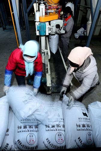 12月24日,青海省海北藏族自治州剛察縣飼草料加工廠,工人在搬運完成裝袋的飼草料。新華社記者 張宏祥 攝
