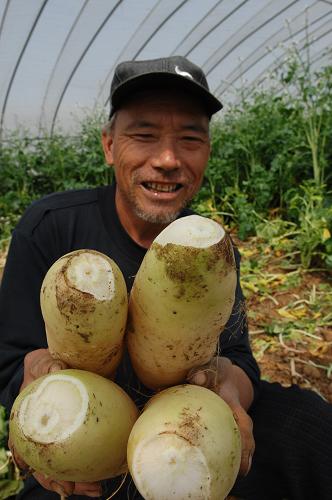 4月24日,在合肥三十崗蔬菜基地,來自安徽定遠(yuǎn)60歲的菜農(nóng)韓文磊掰雙手捧著蘿卜說:多好的蘿卜就這樣毀了,太可惜了。新華社發(fā)(楊曉原 攝)