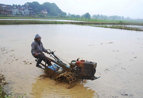 5月22日,在江西九江縣城子鎮(zhèn),種糧大戶程華林冒雨在田間耕作。新華社發(fā)(胡國林 攝)