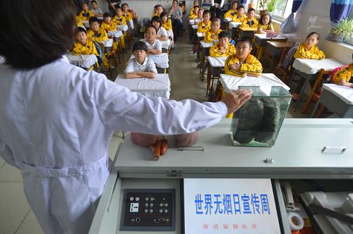 5月28日,在河北省唐山興盛麗景小學,唐山人民醫(yī)院呼吸科專家付英霞使用肺的病理標本向學生介紹煙草的危害。新華社發(fā)(鄭勇 攝)