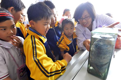 5月28日,在河北省唐山興盛麗景小學,唐山人民醫(yī)院呼吸科專家付英霞使用肺的病理標本向學生介紹煙草的危害。新華社發(fā)(鄭勇 攝)