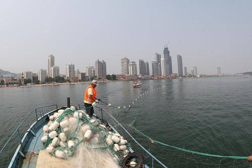 6月26日,在山東省煙臺(tái)市第一海水浴場(chǎng) ,工作人員布設(shè)防鯊網(wǎng)。新華社發(fā)(申吉忠 攝)