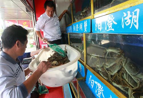 10月24日,一家大閘蟹經(jīng)銷店的攤主準(zhǔn)備給店內(nèi)存放的大閘蟹換水。日前正是大閘蟹大量上市的時(shí)節(jié),但記者在上海最大的大閘蟹批發(fā)交易集散地——銅川路水產(chǎn)批發(fā)市場調(diào)查了解到,該市場目前每天大閘蟹的銷量不足百噸,與國慶期間約260噸的日銷量相比,不及當(dāng)時(shí)的一半。大閘蟹積壓滯銷的情況開始出現(xiàn),蟹價(jià)也比國慶期間回落兩至三成。市場分析人士認(rèn)為,對(duì)于市場的過于樂觀,導(dǎo)致各地大閘蟹大量涌進(jìn)上海,供大于求是近期大閘蟹滯銷和蟹價(jià)走低的主要原因之一。