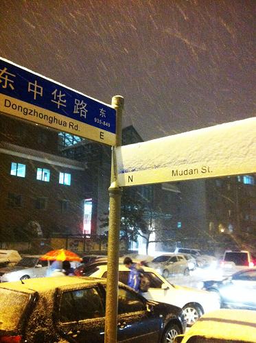 這是11月12日在長(zhǎng)春街頭拍攝的雪景。新華社記者 張建 攝