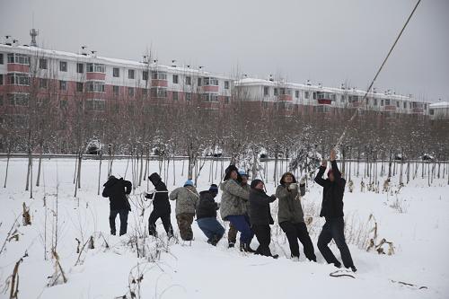 11月12日,黑龍江省鶴崗電業(yè)局工作人員在搶修受損線路。新華社發(fā)(陳景利 攝)