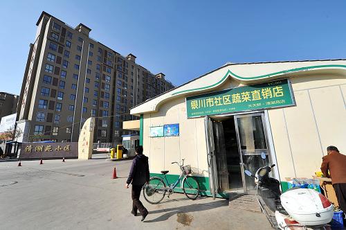 這是寧夏銀川市清湖苑小區(qū)門口的社區(qū)蔬菜直銷店(11月13日攝)。新華社記者 彭昭之 攝