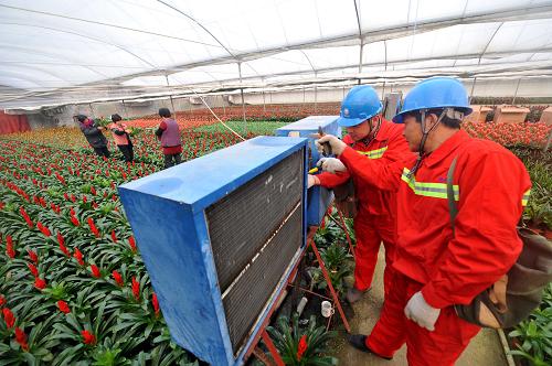 青州市供電公司“彩虹黨員服務隊”隊員為花農(nóng)檢查暖風設備(12月12日攝)。新華社記者 范長國 攝