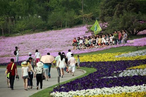5月25日,眾多游客在沈陽(yáng)世博園賞花、留影。 當(dāng)日,沈陽(yáng)世博園迎來(lái)大量游客。眼下正是到沈陽(yáng)世博園觀賞上萬(wàn)畝花海的最佳時(shí)期。由于今年沈陽(yáng)在氣象學(xué)意義上的春季較短,沈陽(yáng)世博園內(nèi)的各式春花也紛紛“調(diào)整”花期,次第綻放,反而成全了沈城及周邊地區(qū)的愛(ài)花之人,每周來(lái)園均能欣賞到不重樣的美麗景致。新華社發(fā)(陳浩 攝)