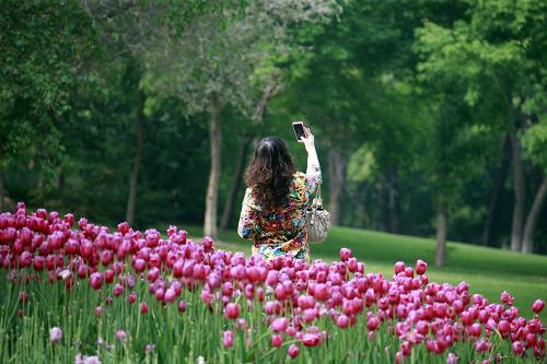 5月25日,游客在沈陽(yáng)世博園盛開(kāi)的花朵前拍照。新華社發(fā)(陳浩 攝)