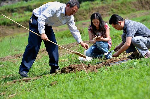 5月28日,湖北省宣恩縣“土壤醫(yī)生”殷月勇、朱艷紅、覃孟州(從左至右)在椒園村的農(nóng)田里采集土樣。湖北省恩施土家族苗族自治州宣恩縣農(nóng)業(yè)局土肥站有7名“土壤醫(yī)生”,3年多來(lái)已為全縣279個(gè)行政村的土地開(kāi)出7674份“土處方”,指導(dǎo)農(nóng)民對(duì)癥施肥,并制作了597份土壤標(biāo)本送到省檢驗(yàn)部門(mén)檢測(cè)土壤重金屬含量。開(kāi)具“土處方”有著嚴(yán)格的操作規(guī)定,從確定地塊、取土樣、保存運(yùn)輸、實(shí)驗(yàn)室化驗(yàn)、結(jié)果論證,到最終向農(nóng)民發(fā)布施肥建議,整套程序必須按部就班。據(jù)當(dāng)?shù)赝练什块T(mén)介紹,隨著化學(xué)肥料、農(nóng)藥的施放,土壤成份不斷變化,“土壤醫(yī)生”們不得不緊盯每一塊土地,為其“號(hào)脈問(wèn)診”。近年來(lái),土壤“健康”問(wèn)題越來(lái)越受到人們的關(guān)注。均衡的土壤肥力和土壤成分能保障作物增產(chǎn)增收,重金屬、農(nóng)殘等指標(biāo)則關(guān)系到食用者的飲食安全。“土壤醫(yī)生”通過(guò)治“土”,促進(jìn)農(nóng)民增收,也為飲食安全把門(mén)守關(guān)。
