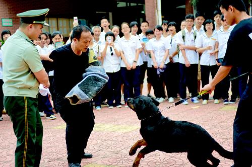 6月19日,福建省福清邊檢、公安禁毒大隊(duì)聯(lián)合在福清一中校園進(jìn)行緝毒演練。新華社記者 張國俊 攝