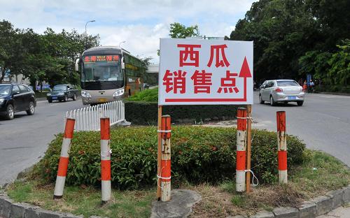 這是在廣西北海市南珠路路口設(shè)立的西瓜銷售點(diǎn)指示牌(7月29日攝)。新華社發(fā)(李君光 攝)