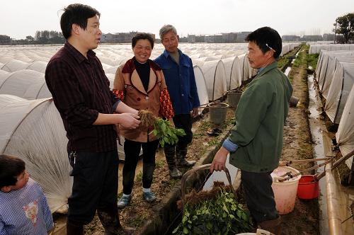 高安市上湖鄉(xiāng)南坪村主任鄭陽華(左)在指導(dǎo)村民進(jìn)行早熟辣椒的田間管理(3月23日攝)。新華社記者 宋振平 攝