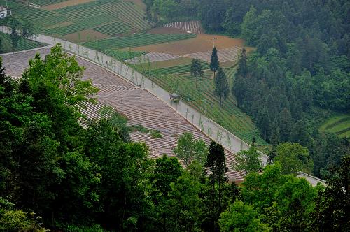 武陵山區(qū):推進(jìn)扶貧開(kāi)發(fā) 舊貌換新顏 5月9日,在重慶彭水苗族土家族自治縣潤(rùn)溪鄉(xiāng)白果村,車輛行駛在田間道路上。 武陵山區(qū)是國(guó)家重點(diǎn)扶貧開(kāi)發(fā)的連片貧困區(qū)之一,該地區(qū)喀斯特地貌分布廣泛、土壤貧瘠。近年來(lái),重慶市在武陵山區(qū)加大基礎(chǔ)設(shè)施建設(shè)、發(fā)展特色農(nóng)業(yè)產(chǎn)業(yè)、實(shí)施生態(tài)扶貧開(kāi)發(fā)等工程,穩(wěn)步推進(jìn)武陵山區(qū)經(jīng)濟(jì)社會(huì)各項(xiàng)事業(yè)快速發(fā)展。 新華社記者李健攝