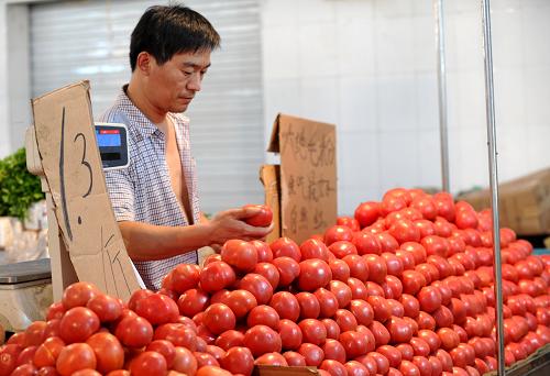 商務(wù)部:上周食用農(nóng)產(chǎn)品和生產(chǎn)資料價(jià)格略有回落 7月16日,在河北石家莊市一家農(nóng)貿(mào)市場(chǎng),菜農(nóng)在整理西紅柿。 據(jù)商務(wù)部當(dāng)日發(fā)布的監(jiān)測(cè)數(shù)據(jù)顯示,7月8日至7月14日,全國(guó)36個(gè)大中城市食用農(nóng)產(chǎn)品價(jià)格和生產(chǎn)資料價(jià)格均呈現(xiàn)回落態(tài)勢(shì)。其中,受高溫陰雨天氣因素影響,18種蔬菜平均批發(fā)價(jià)格與前一周持平。 新華社記者朱旭東攝