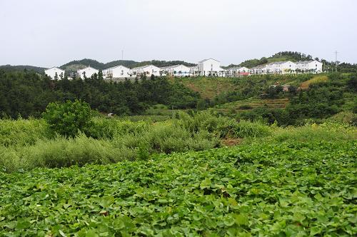 南水北調(diào)中線水源地將擇機(jī)進(jìn)行分階段蓄水 丹江口市蔡灣移民安置點(diǎn)的移民新居及周邊農(nóng)田(8月29日攝)。 南水北調(diào)中線丹江口大壩加高工程驗收委員會8月29日在壩區(qū)宣布,丹江口大壩加高工程通過蓄水驗收,正式具備蓄水條件。至此,作為中線水源地的丹江口水庫已進(jìn)入今年秋天蓄水前的最后倒計時階段。 國務(wù)院南水北調(diào)辦副主任張野告訴記者,大壩加高工程通過蓄水驗收,意味著丹江口水庫現(xiàn)在就可以開始蓄水。但具體何時啟蓄,將根據(jù)漢江上游的來水情況以及丹江口大壩的防洪要求實時掌握。 記者從水文部門了解到,近期漢江上游來水量較少,為滿足漢江中下游用水需求,丹江口水庫出庫流量大于入庫流量,水庫水位在147米左右,尚未開始抬高。預(yù)計9月漢江秋汛期間,上游來水會有所增加。 中國工程院院士鄭守仁說,由于丹江口大壩是在老壩基礎(chǔ)上加高修建,蓄水時應(yīng)該分階段進(jìn)行。在蓄水過程中應(yīng)加強(qiáng)監(jiān)測,以保證建筑物的安全運(yùn)行。 從明年起,南水北調(diào)中線工程將把長江最大支流漢江上丹江口水庫的清水北調(diào),以緩解華北用水緊張局面。為滿足調(diào)水需要,始建于上世紀(jì)50年代末的丹江口大壩經(jīng)加高,壩頂高程