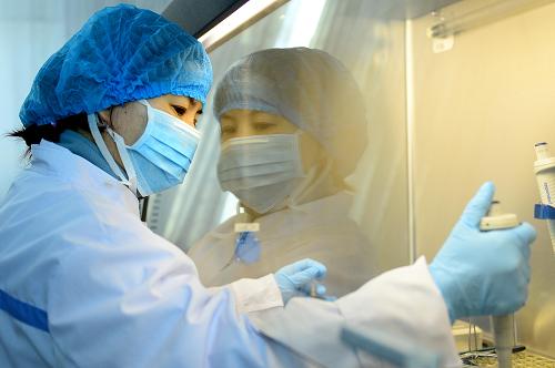 目擊H7N9禽流感實(shí)驗(yàn)室檢測過程 PCR實(shí)驗(yàn)室工作人員在樣本制備區(qū)對樣本進(jìn)行處理(2月12日攝)。 2月12日,記者在山東省諸城市綠安檢測中心PCR實(shí)驗(yàn)室,目擊H7N9禽流感檢測過程。在經(jīng)過取樣、樣本處理、放入離心機(jī)、熒光RT-PCR反應(yīng)液、熒光RT-PCR檢測等步驟從而檢測出樣本呈陰性或陽性。山東省是畜禽養(yǎng)殖和加工大省,截至2月13日,該省沒有出現(xiàn)H7N9禽流感疫情。 新華社記者郭緒雷攝