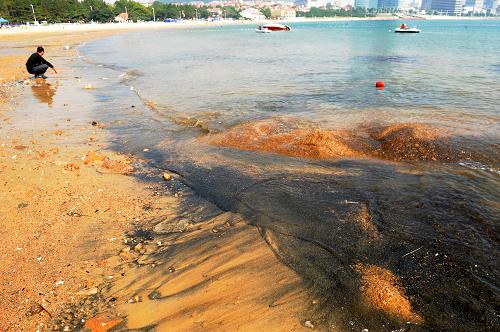 9月6日,青島第三海水浴場沙灘西側有許多黑沙隨海水流動。近日,青島第三海水浴場沙灘出現(xiàn)大片黑色物質,有市民擔心黑色物體與目前發(fā)生的渤海溢油事件有關,紛紛放棄在此游泳。據(jù)青島海事局、青島市海洋與漁業(yè)局工作人員現(xiàn)場調查取樣證實,“黑色物質不粘手,沒有異味,在水中也未呈現(xiàn)油污狀分布。”從這些情況看,很容易確定不是石油污染。一些經(jīng)常在此游泳的市民也反映,10多年來,在浴場都能看到這樣的黑沙,并非今年才發(fā)現(xiàn)。至于黑沙具體為何物,青島海洋地質研究所專家通過專用儀器檢測分析,黑沙內碳、硫含量較高,還含有鋁、鈉等元素,可能是“沉睡”海底多年的煤灰,是因潮汐變化被帶上沙灘的,可以確定黑色物質里面沒有任何有害物質,人們無需擔心。新華社記者 李紫恒 攝