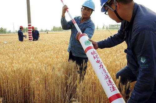6月4日,在山東省臨沂市郯城縣馬頭鎮(zhèn)田站村的麥田里,供電公司安全員為電線桿安裝彩色拉線警示管。當(dāng)日起,山東省臨沂市郯城縣供電公司員工赴小麥成熟區(qū),給2700多根電線桿涂紅白相間的夜光漆,并安裝彩色拉線警示管,以醒目的標(biāo)志提醒夜間耕作的農(nóng)機(jī)手注意安全,防止夏收電力安全事故發(fā)生。新華社發(fā)(房德華 攝)