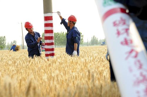 6月4日,在山東省臨沂市郯城縣馬頭鎮(zhèn)田站村的麥田里,供電公司安全員為電線桿涂抹警示夜光漆。新華社發(fā)(房德華 攝)