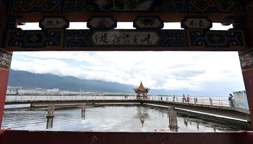 云南大理洱海公園內(nèi)一景(6月19日攝)。新華社記者 藺以光 攝