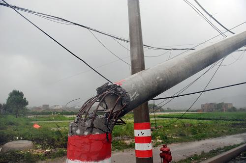 8月8日,象山縣鶴浦鎮(zhèn),臺風(fēng)登陸過后,路邊的電線桿被吹斷。今年第11號強(qiáng)臺風(fēng)“???#8221;8日3時20分在浙江省象山縣鶴浦鎮(zhèn)登陸,登陸時近中心最大風(fēng)力14級(42米/秒),最低氣壓965百帕。臺風(fēng)登陸后,對象山縣鶴浦鎮(zhèn)造成破壞。 新華社記者 崔新鈺 攝