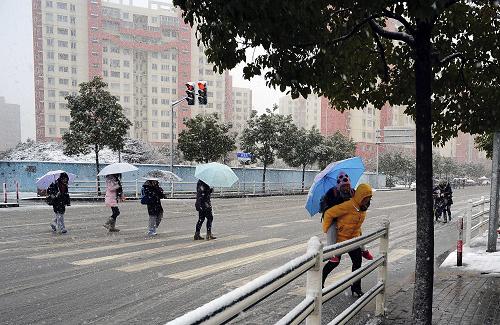 2月19日,在上海街頭,一名家長背著孩子過馬路。當(dāng)日,上海市中小學(xué)生結(jié)束了寒假,迎來新學(xué)期。開學(xué)首日恰逢風(fēng)雪天氣,上海中心氣象臺19日發(fā)布了暴雪黃色預(yù)警。18日,上海市教委官方微博“上海教育”發(fā)布消息稱,19日早上如遇風(fēng)雪延遲到校,學(xué)校將不做遲到處理。新華社發(fā)(劉曉晶 攝)