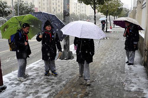 2月19日,在上海街頭,幾名小學(xué)生打傘走在上學(xué)路上。新華社發(fā)(劉曉晶 攝)