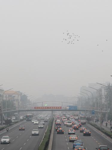 9月30日,車輛行駛在霧霾籠罩下的北京天壇路上。 新華社發(fā)(王躍嶺 攝)