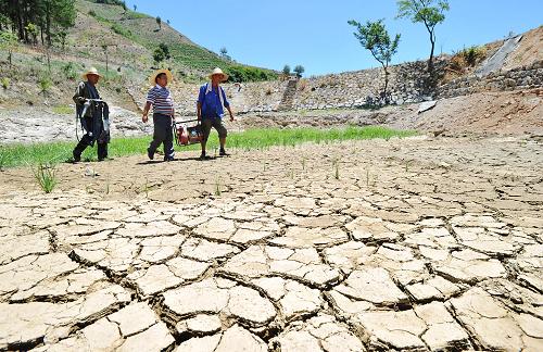 8月12日,浙江諸暨筆架山的香榧基地的村民到山下尋找水源抗旱保苗。由于40度以上高溫干旱持續(xù),浙江省諸暨市東白湖鎮(zhèn)的筆架山香榧專業(yè)合作社的香榧基地內(nèi),200余畝香榧樹苗部分嚴(yán)重干死,直接經(jīng)濟(jì)損失達(dá)30萬元。自7月份以來,該合作社每天用2輛車從山下運(yùn)水到海撥500米的香榧基地,全力抗旱保苗。新華社發(fā)(徐德文 攝)